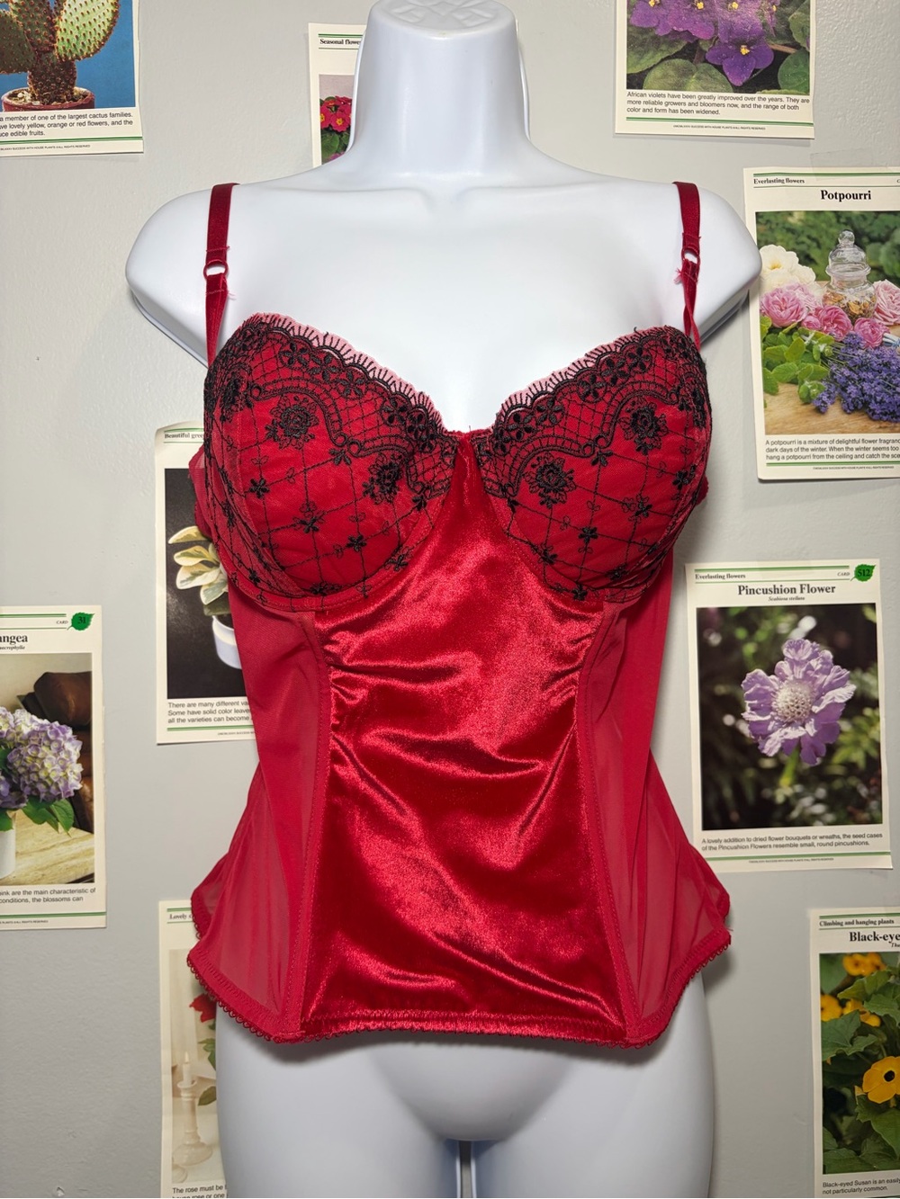 smart & sexy Red Satin Bustier with Black Lace